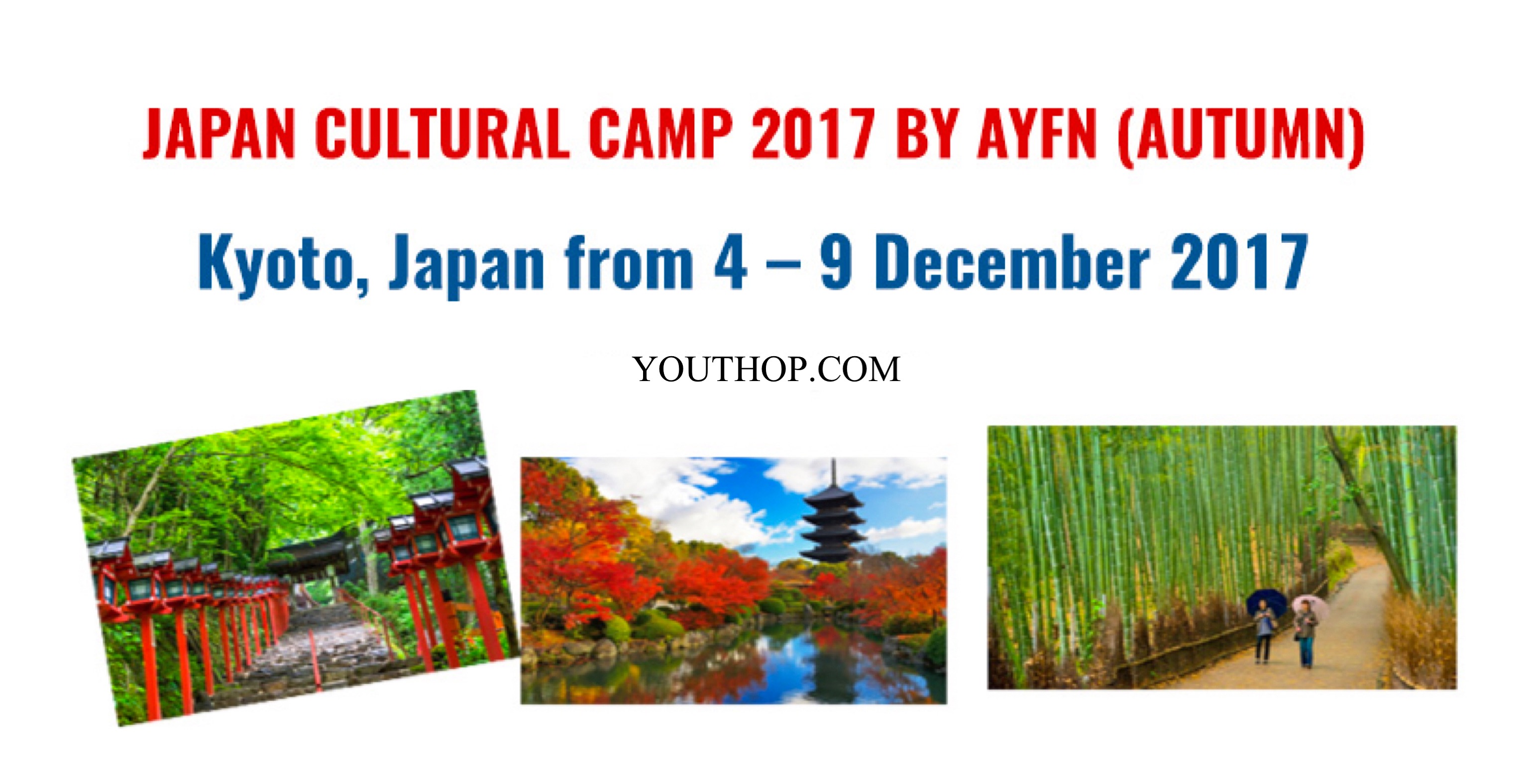 Ayfn Japan Cultural Camp Autumn In Kyoto Japan Youth