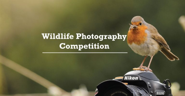 Participate in the Wildlife Photography Competition 2019