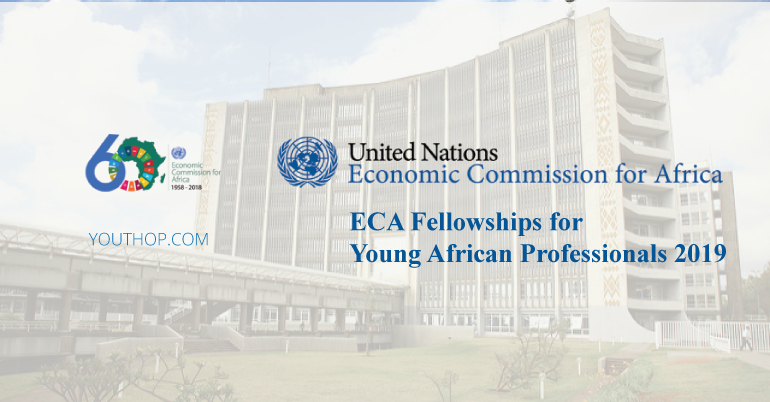 ECA Fellowships for Young African Professionals 2019