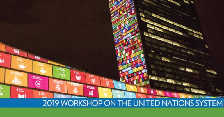 Sustainable Development Goals and Security Workshop 2019 in South Africa
