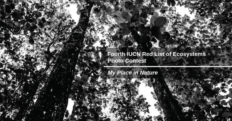 Fourth IUCN Red List of Ecosystems Photo Contest
