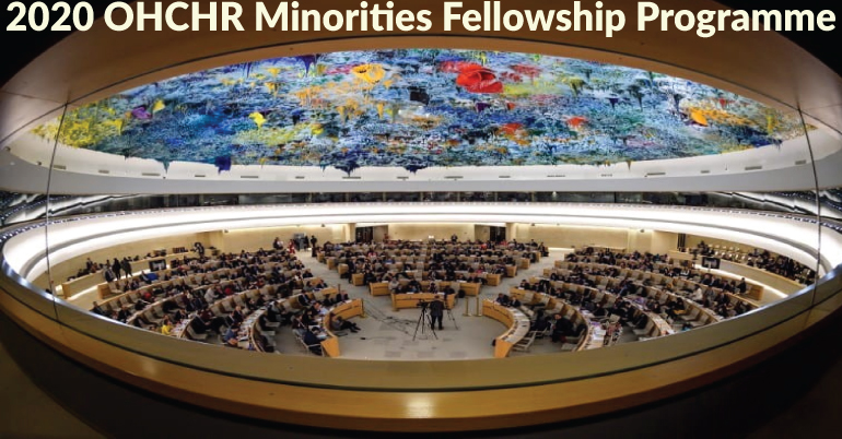 2020 OHCHR Minorities Fellowship Programme