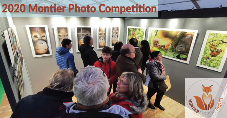 2020 Montier Photo Competition