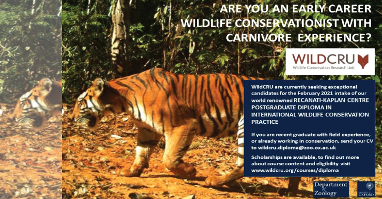 Postgraduate Diploma in International Wildlife Conservation Practice