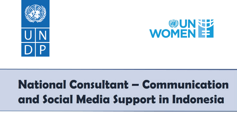UN Women National Consultant