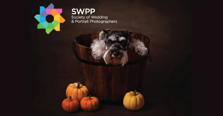 Autumnal Portraits Photography Competition 2020