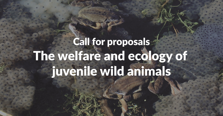 The welfare and ecology of juvenile wild animals
