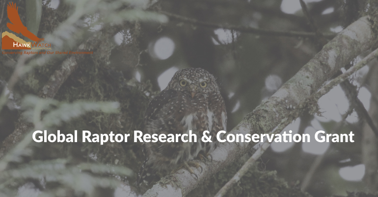 Global Raptor Research & Conservation Grant