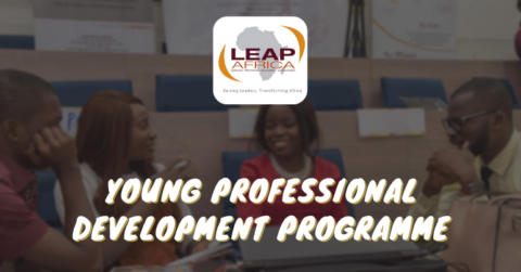LEAP Young Professional Development Programme