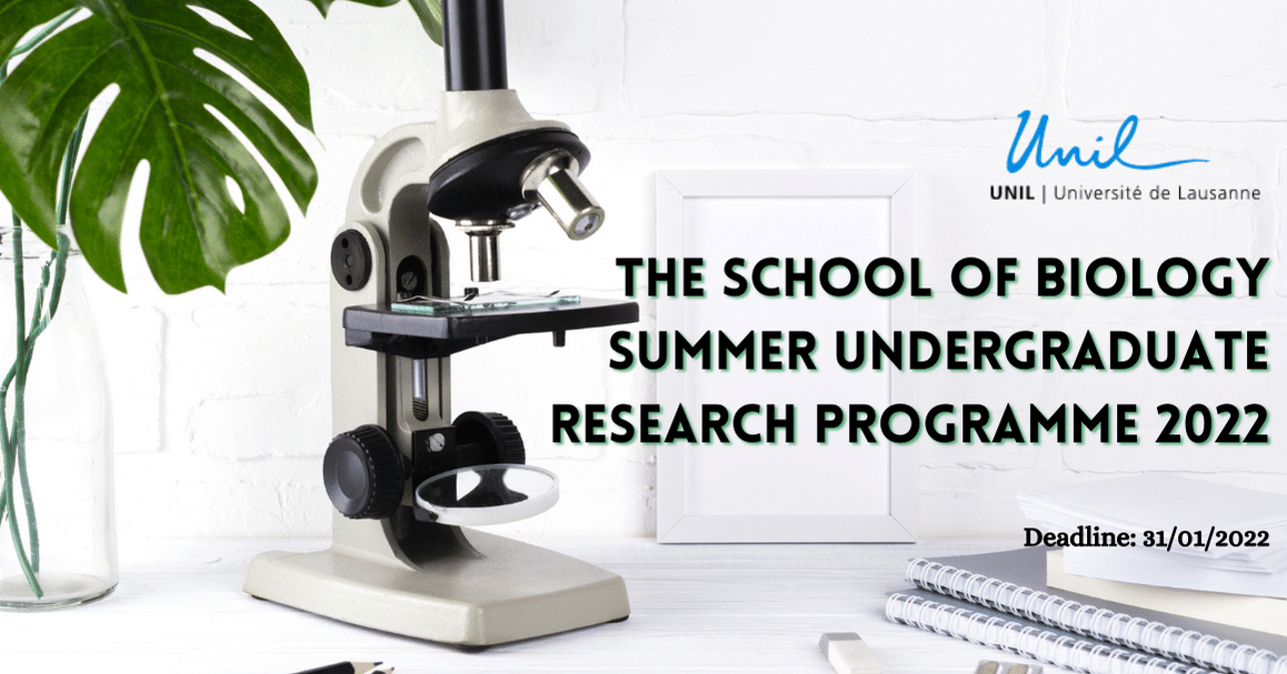 undergraduate summer research programs biology