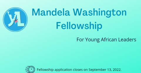 The 2023 Mandela Washington Fellowship