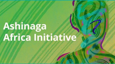Ashinaga Africa Initiative Scholarship 2023