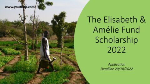 The Elisabeth  Amélie Fund Scholarship 2022
