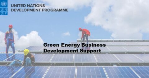 Green Energy Business Development Support – UNDP Jobs