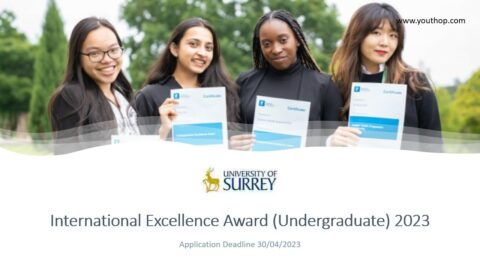 International Excellence Award (Undergraduate) 2023 entry