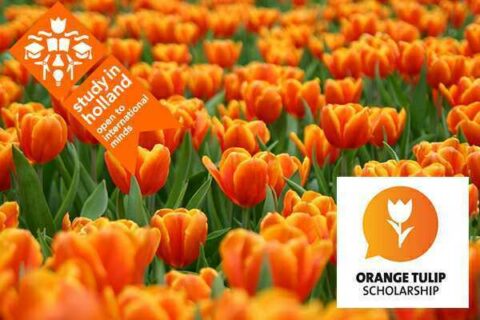 Orange Tulip Scholarship 2023