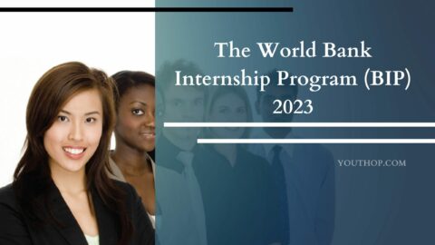 The World Bank Internship Program (BIP) 2023