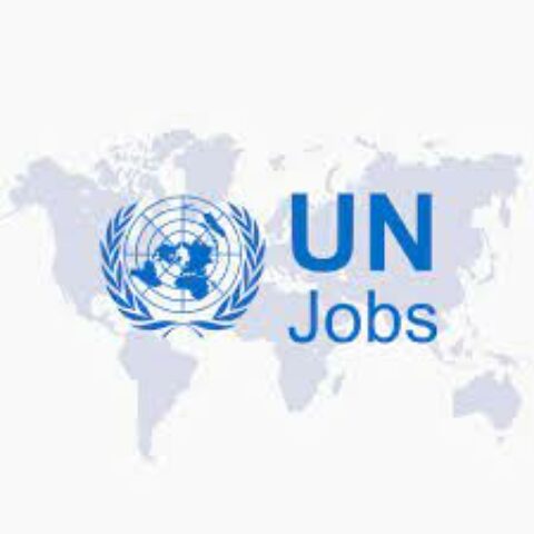 UN Assistant Finance and Administrative Officer