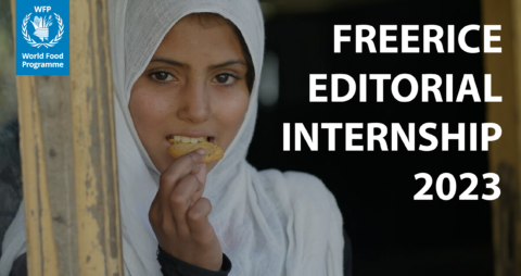 Freerice Editorial Internship at WFP 2023