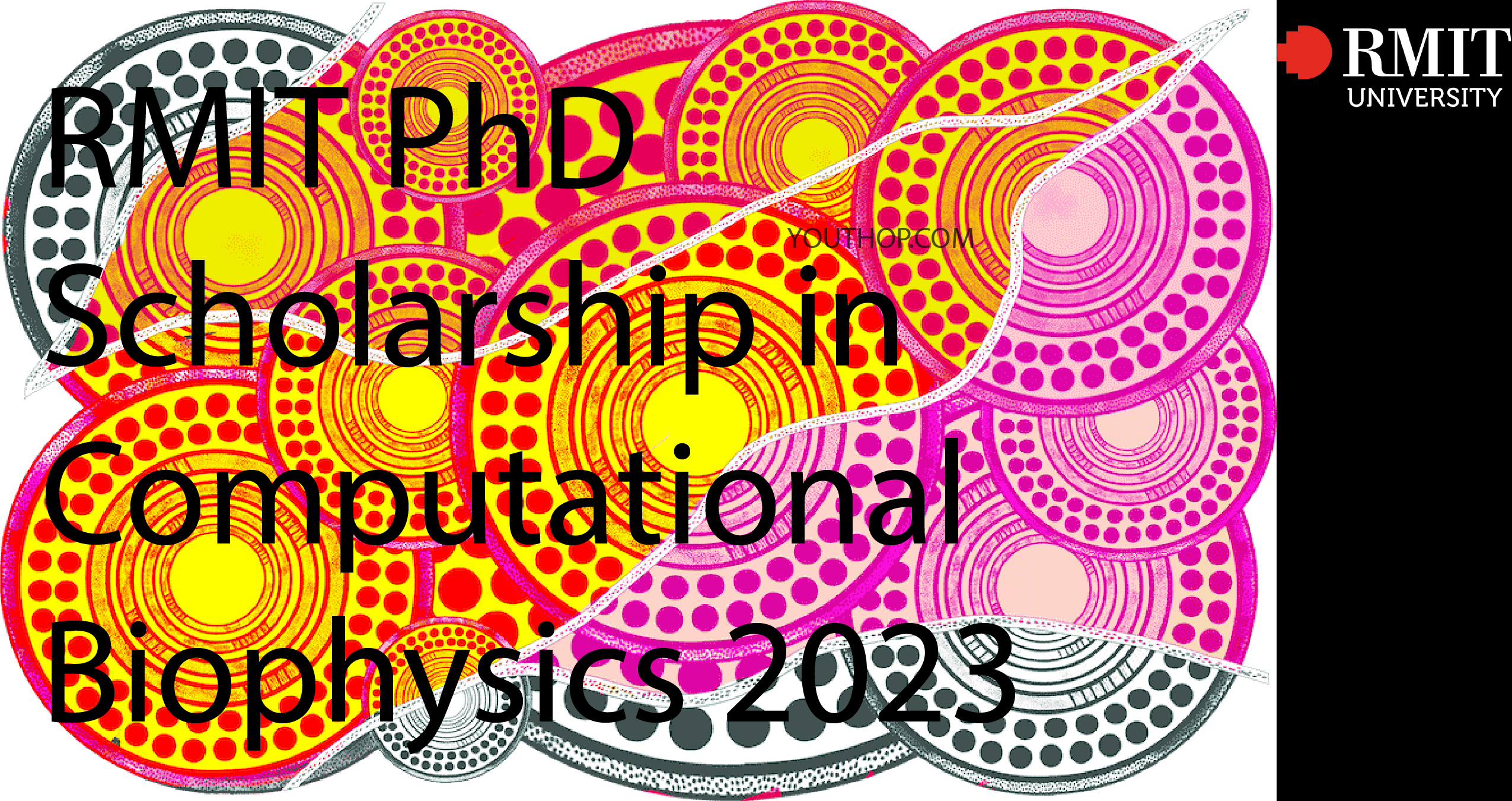 rmit phd scholarships 2023