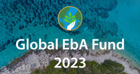 Global EbA Fund 2023