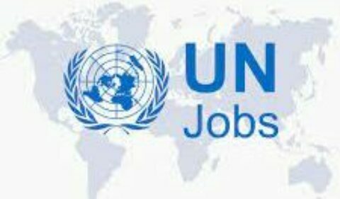 UN Information Systems Officer 2023