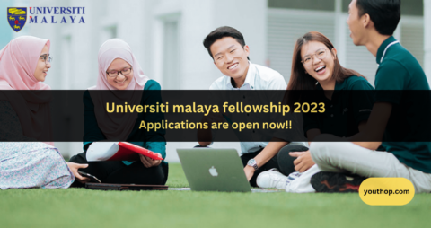 Universiti Malaya ASEAN Fellowship 2023