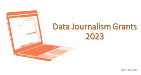 Data Journalism Grants 2023