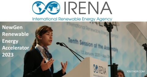 NewGen Renewable Energy Accelerator Fellowship 2023