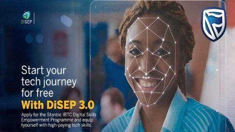 Digital Skills Empowerment Programme (DiSEP) 2023