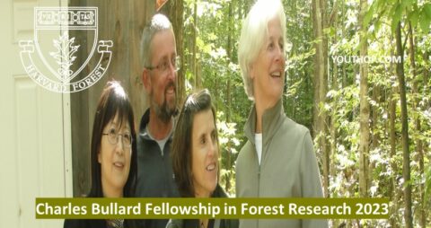 Harvard University Charles Bullard Fellowship in Forest Research 2023