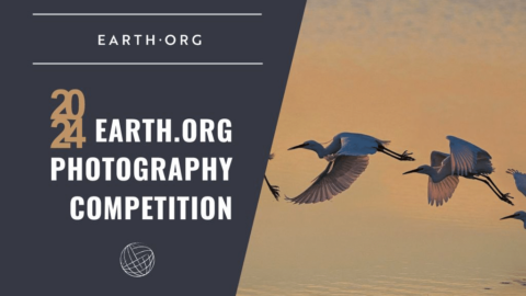 EO Nature and Wildlife Photo Competition 2024