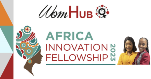 African Innovation Fellowship 2023