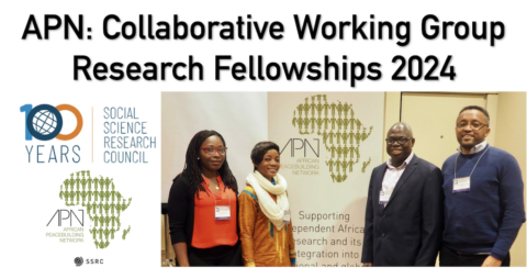 APN: Collaborative Working Group Research Fellowships 2024