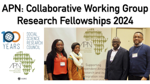 APN: Collaborative Working Group Research Fellowships 2024