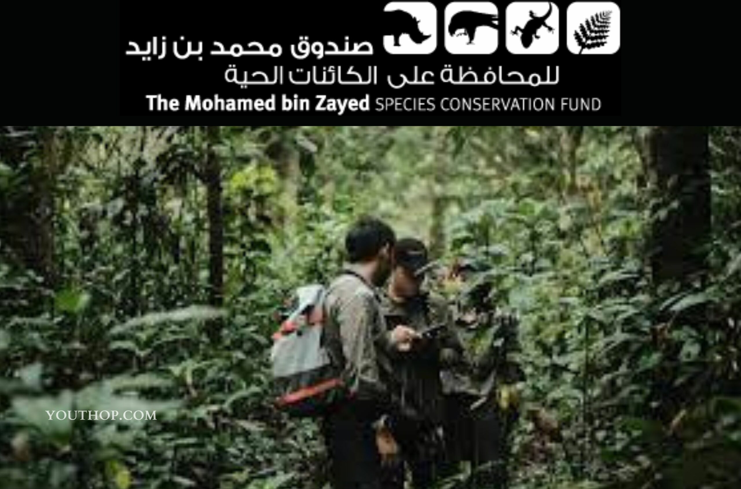 Apply for The Mohamed bin Zayed Species Conservation Fund 2024