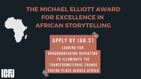 The Michael Elliott Award for Excellence in African Storytelling 2024
