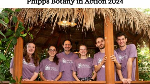 Phipps Botany in Action 2024 (Fully Funded)