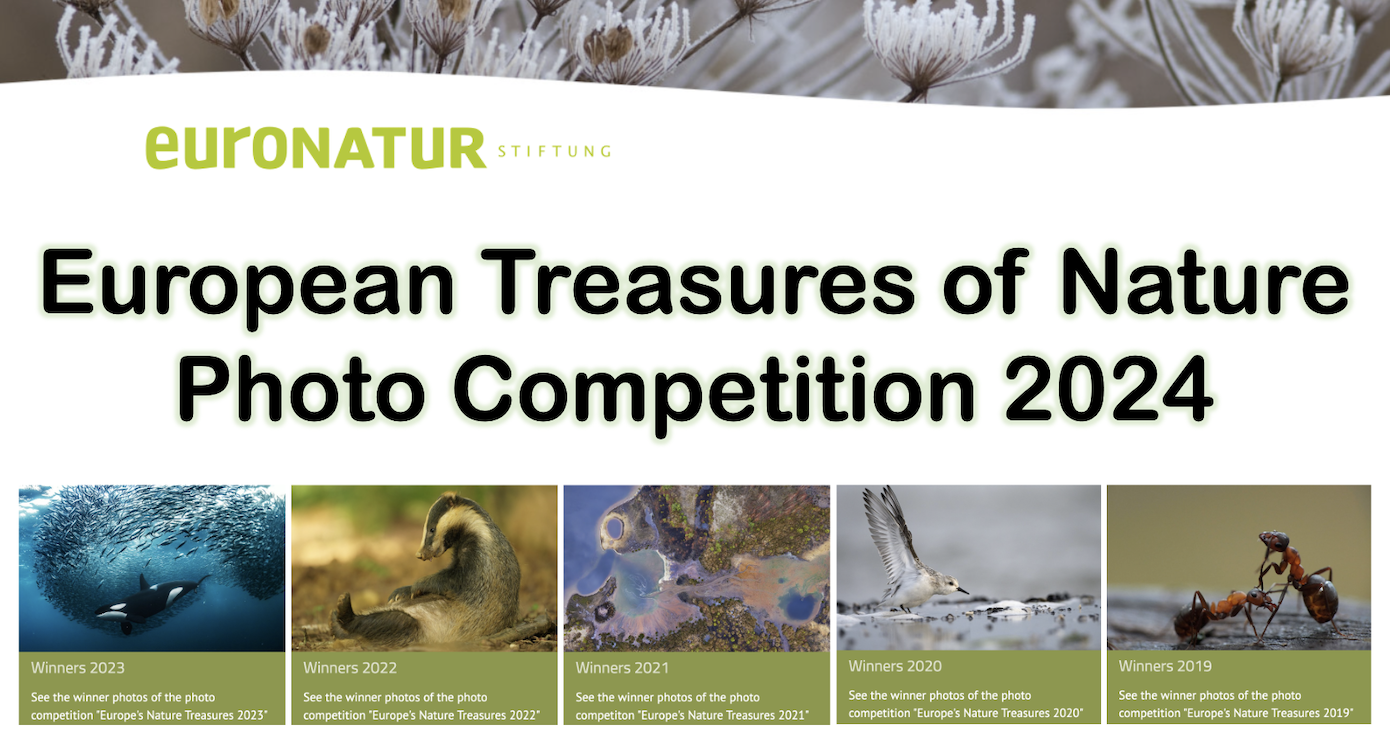 EuroNatur s European Treasures of Nature Photo Competition 2024