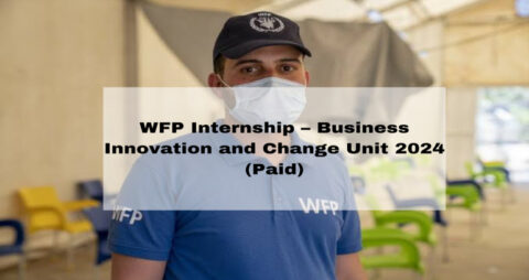 WFP Internship – Business Innovation and Change Unit 2024 (Paid)