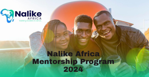 Nalike Africa Mentorship Program 2024