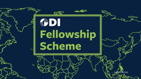 ODI Fellowship Scheme 2024 – 2026 (Fully Funded)