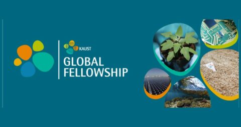 KAUST Global Postdoctoral Fellowship 2024