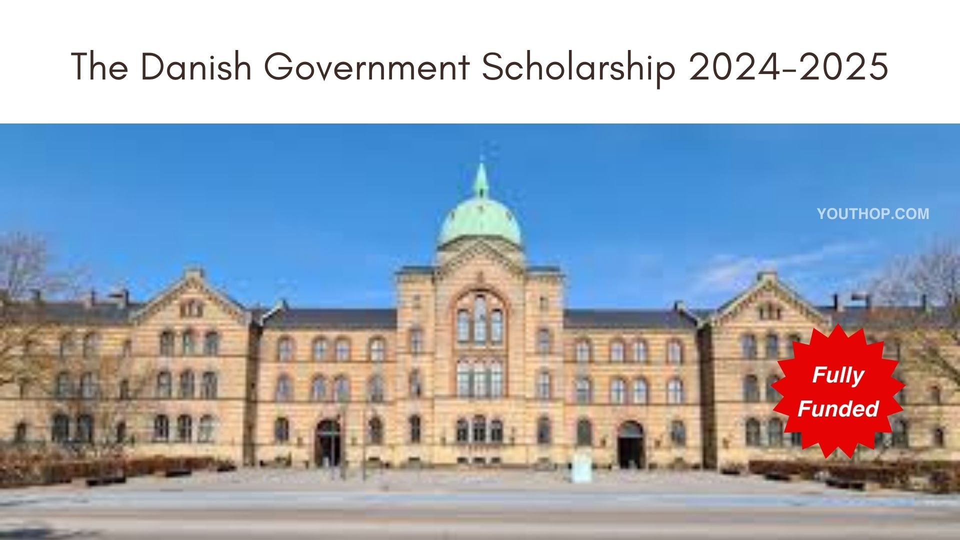 The Danish Government Scholarship 20242025