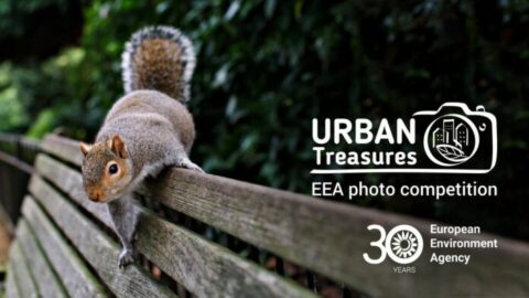 Urban Treasures — EEA photo competition 2024