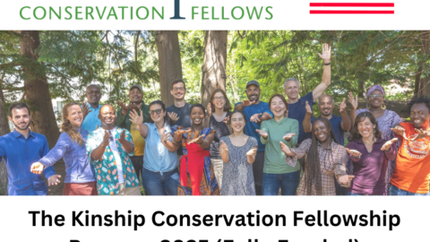 The Kinship Conservation Fellowship Program 2025 (Fully Funded)