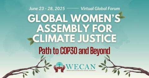 Global Women’s Assembly for Climate Justice: Path to COP30 and Beyond