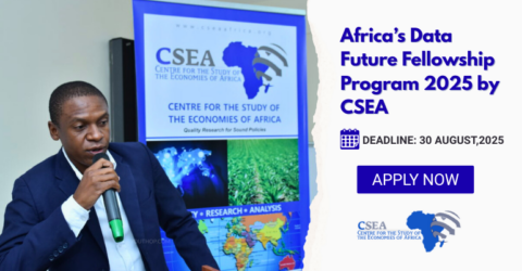 Africa’s Data Future Fellowship Program 2025 by CSEA