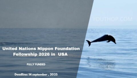 United Nations Nippon Foundation Fellowship 2026 in USA