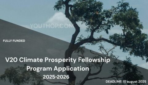 V20 Climate Prosperity Fellowship Program Application